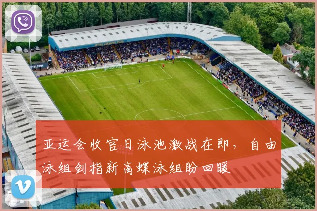 亚运会收官日泳池激战在即，自由泳组剑指新高蝶泳组盼回暖