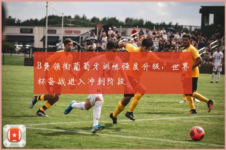 B费领衔葡萄牙训练强度升级，世界杯备战进入冲刺阶段