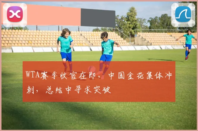 WTA赛季收官在即，中国金花集体冲刺，总结中寻求突破