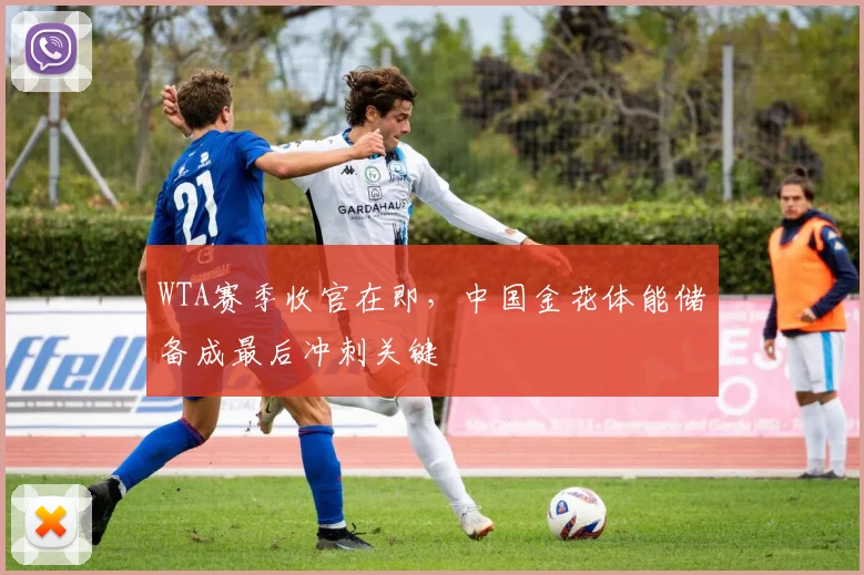 WTA赛季收官在即，中国金花体能储备成最后冲刺关键