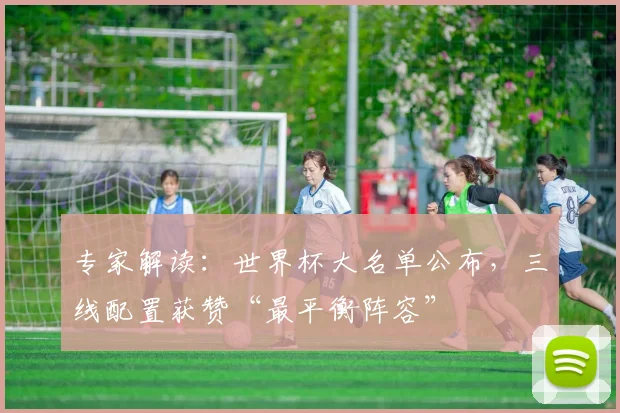 专家解读：世界杯大名单公布，三线配置获赞“最平衡阵容”